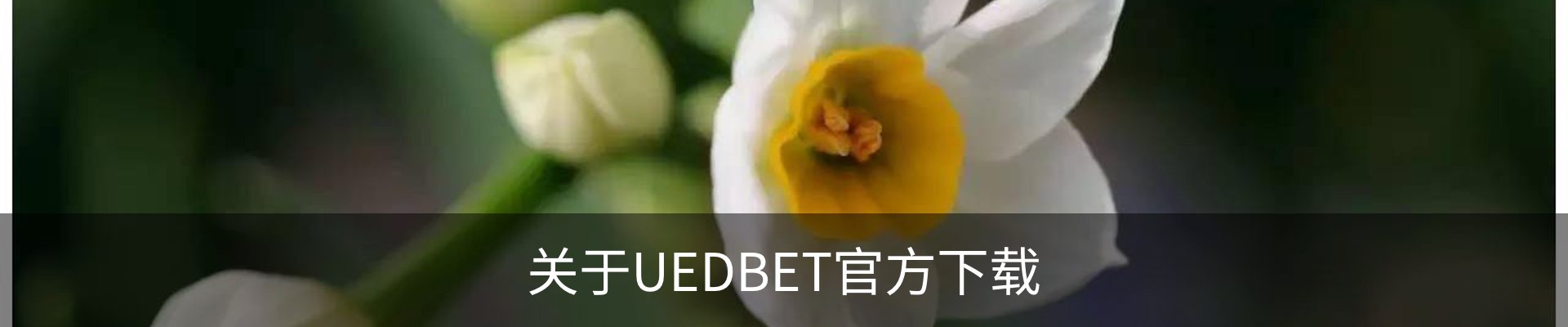 关于UEDBET官方下载